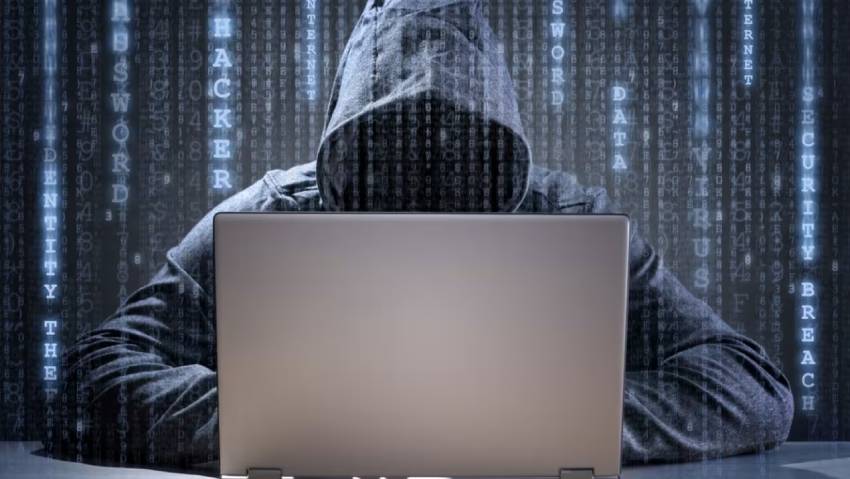 东丽区小程序定制开发：企业数字化转型的得力助手及实现路径